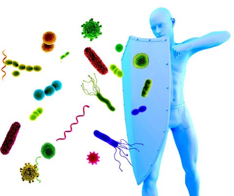 Immagine relativa al post intitolato Rafforzare il sistema immunitario è possibile?  