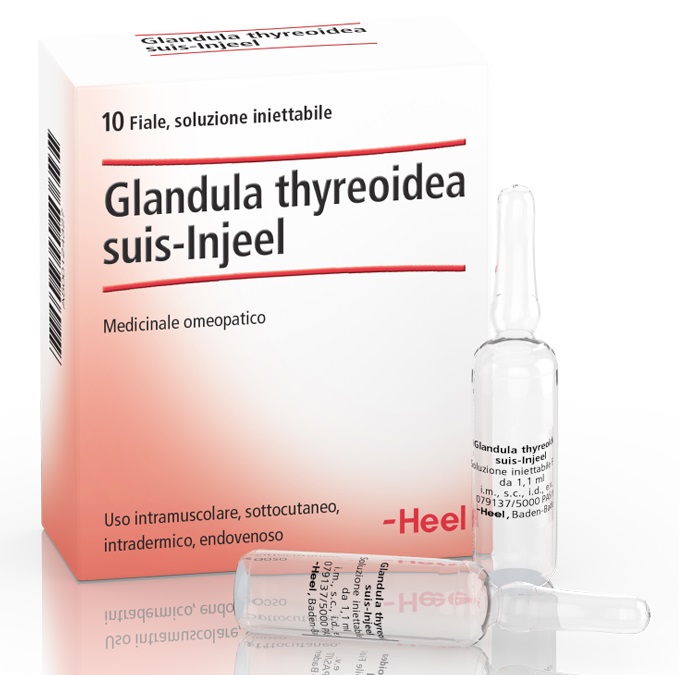HEEL GLANDULA THYROIDEA SUIS INJEEL 10 FIALE - Farmacia Sant Anna SAS del Dott. Mariani Federigo