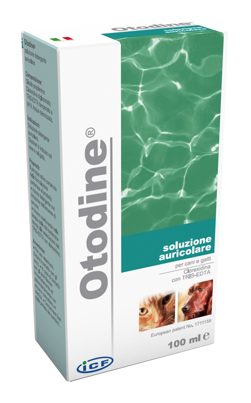 OTODINE DETERGENTE LIQUIDO 100 ML - Farmacia Sant Anna SAS del Dott. Mariani Federigo