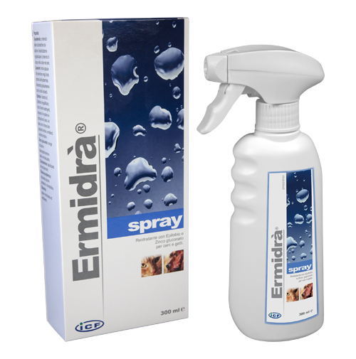 ERMIDRA' SPRAY 300 ML - Farmacia Sant Anna SAS del Dott. Mariani Federigo