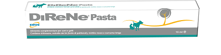DIRENE PASTA 15 ML - Farmacia Sant Anna SAS del Dott. Mariani Federigo