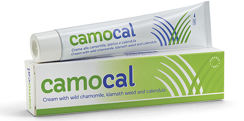 CREMA VEGETALE PER LE AFFEZIONI ANALI CAMOCAL 50 ML - Farmacia Sant Anna SAS del Dott. Mariani Federigo