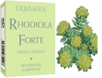 RHODIOLA FORTE 24 CAPSULE - Farmacia Sant Anna SAS del Dott. Mariani Federigo