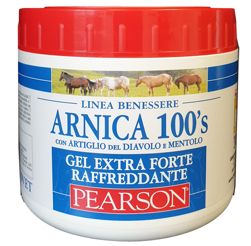 ARNICA 100'S EXTRA FORTE 500 ML - Farmacia Sant Anna SAS del Dott. Mariani Federigo