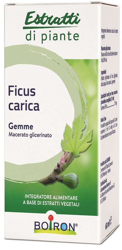 FICUS CARICA BOIRON MACERATO GLICERICO 60 ML - Farmacia Sant Anna SAS del Dott. Mariani Federigo