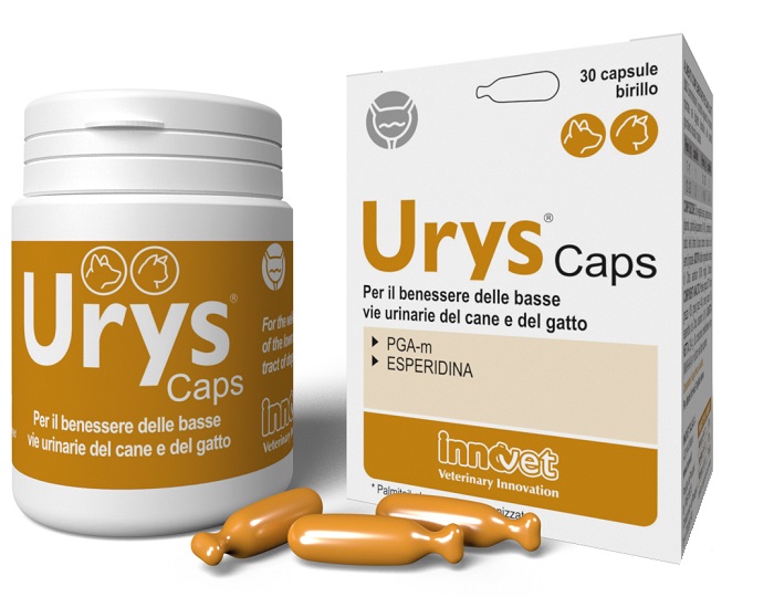 URYS CAPS 30 CAPSULE - Farmacia Sant Anna SAS del Dott. Mariani Federigo